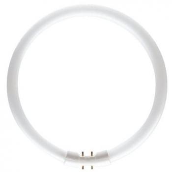 T5 Circline Sylvania 55W Lampada