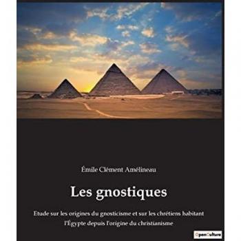 Les gnostiques: Etude sur les origines du gnosticisme et sur les chrétiens habitant l'Égypte depuis l'origine du christianisme