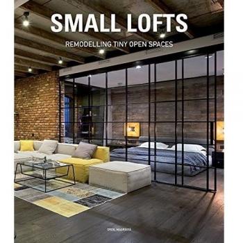 Small lofts. Remodelling tiny open spaces. Ediz. illustrata