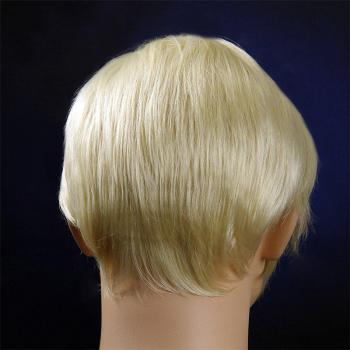 Men's 6 Inch Short Straight Wig