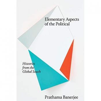 Histories from the Global South (Theory in Forms)