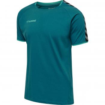 T-Shirt Hummel Training AUTHENTIC Bleu S male