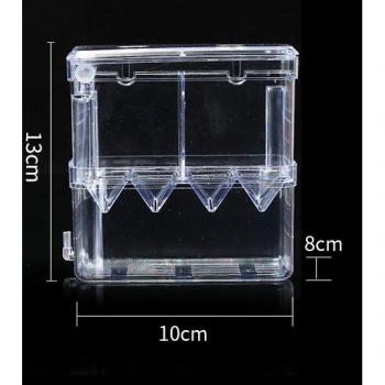 Acrylic Fish Spawning Box