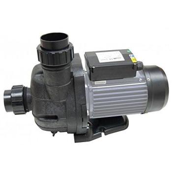 Pompe à Eau pour Piscine Vipool 1,50 CV