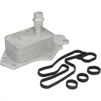 Thermotec D4X022TT radiatore per olio motore