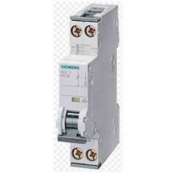 Interruptor 5SY6006-7KV 1+N/6 1MD 70MM