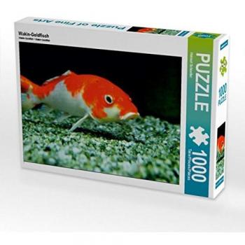 CALVENDO Wakin-Goldfisch