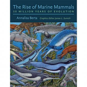 Vitalsource Technologies, Inc. The Rise Of Marine Mammals