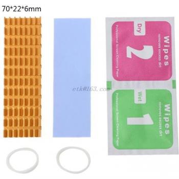 Heat Sink with Thermal Pads for M.2 SSD