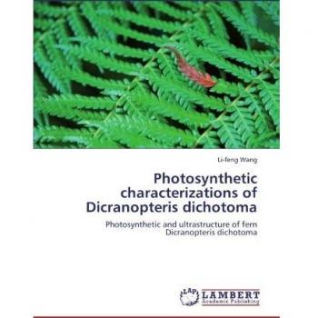 Photosynthetic characterizations of Dicranopteris dichotoma: Photosynthetic and ultrastructure of fern Dicranopteris dichotoma