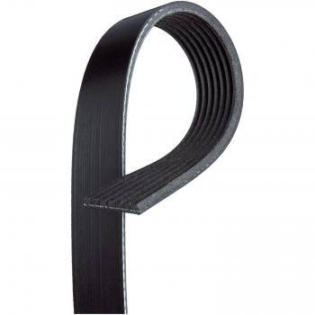 Correa GATES 7PK1038SF