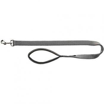 Graphite Pathfinders