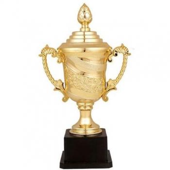 Trophée en plastique pour école maternelle