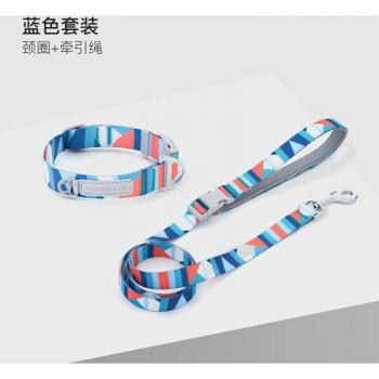 Durable Dog Leash for Greyhounds, Poodles, and Labradors