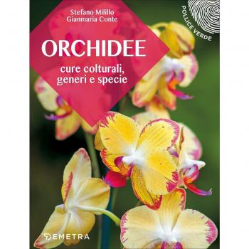 Orchidee. Cure colturali, generi e specie
