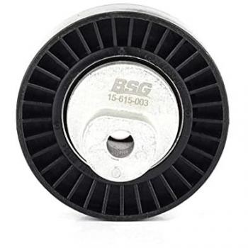Polia de Guia BSG 15-615-003 para Correia Trapezoidal