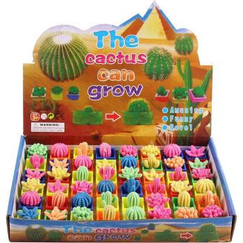 Magic Plant Growth Cactus