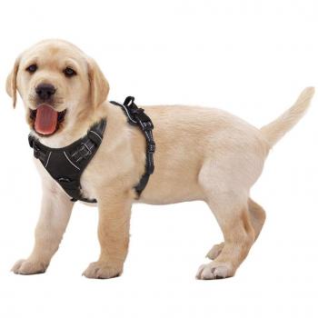 Eagloo Hundegeschirr Anti-Zug – Weiche Polsterung, Schwarz, XS