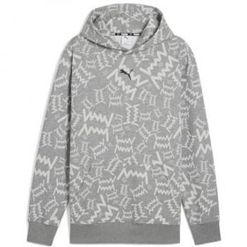 Puma teamJAWS Hoodie für Männer Grau XL