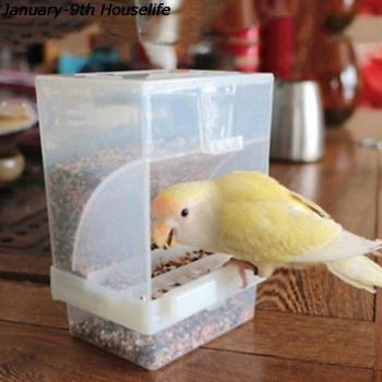 Splash-Proof Acrylic Bird Feeder for Small Birds 10x12x7.5CM