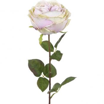 Viola Cabbage 49cm – Kit 6 rose fittizie