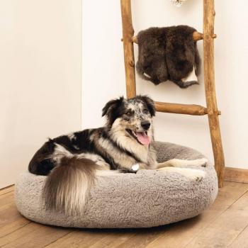 Cuccia per Cani Jaxx in Schiuma Viscoelastica 60x25 cm