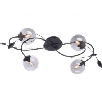 Widow 4 LED – Plafón Paul Neuhaus