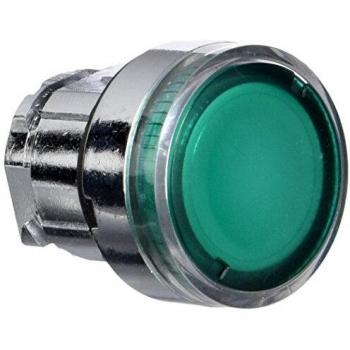 Testa pulsante Telemecanique luminoso Verde BA9S ZB4BW33