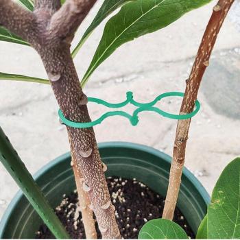 Reusable Plant Support Clips for Vines and Tomatoes