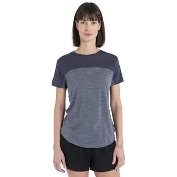 Camiseta Icebreaker Merino 125 Cool-lite Sphere III Grafito