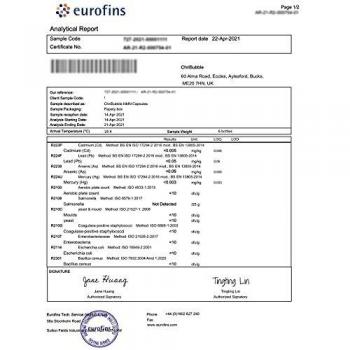 Suplemento de NMN | 500 mg por cápsula | Potente mejora de NAD + y función cerebral | 360 cápsulas