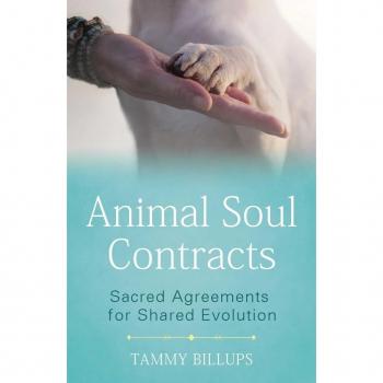 Animal Soul Contracts: Sacred Agreements for Shared Evolution
