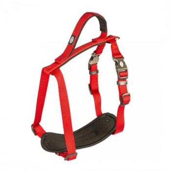 Arnés de nylon Explor North para perros