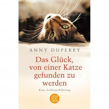 Das Glück, von einer Katze gefunden zu werden: Eine Liebeserklärung