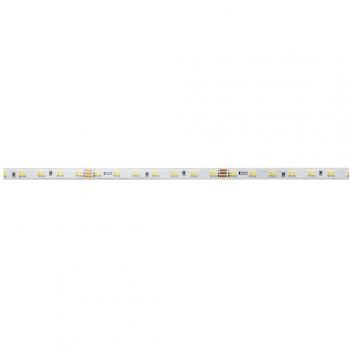 Deko Light 5m LED Flexible 24V
