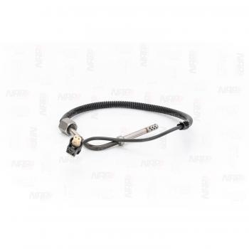 Detector de Temperatura en Escape Gas CTS10179 – NAP Carparts