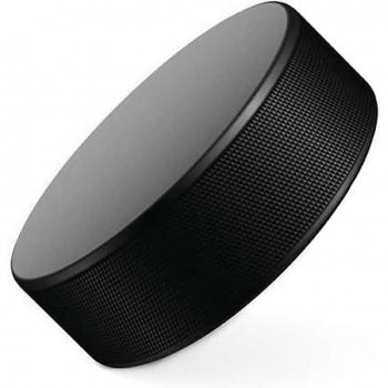 Eishockey Puck für Turniere