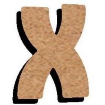 Lettre X de décoration en MDF – 15 cm