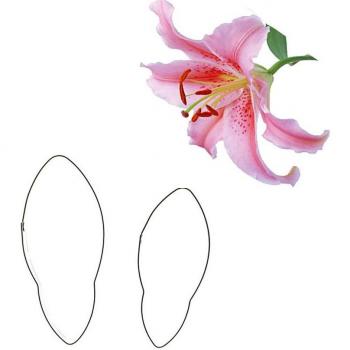 2pcs/set Stainless Steel Lily Flower Cookie Cutters for Pastry and Fondant