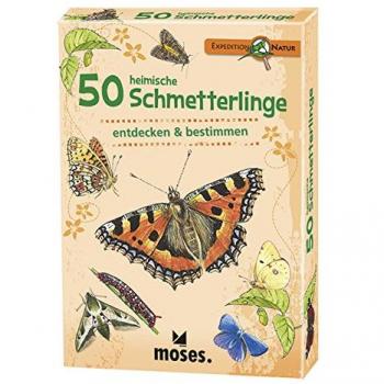 50 heimische Schmetterlinge entdecken & bestimmen (mit spannenden Quizfragen)