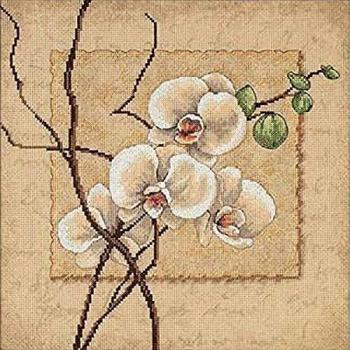 DIMENSIONS 35176 Oriental Orchids, Various, 12 x 12 (30 x 30 cm)