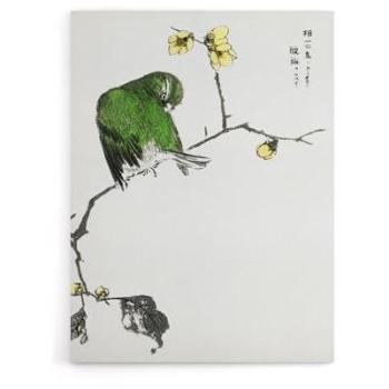 Japanese Allspice Fairy Pitta Canvas – 24″ by 32″