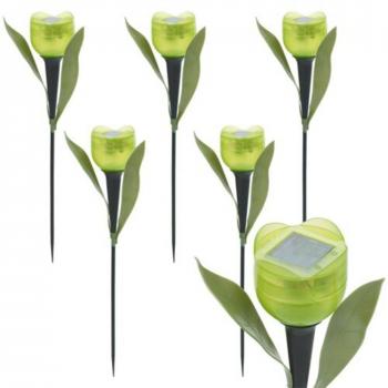 Brillo Tulipán Luminoso Jardín