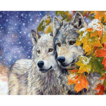 Two Wolves 40x50cm DIY Art for Living Room