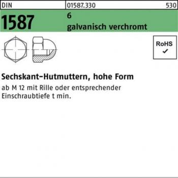 Reyher Hutmuttern 100 Stück M12 SW 19