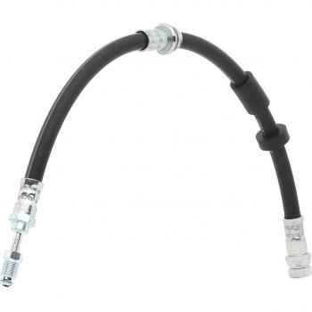 Collier Trixie Cavo pour chien