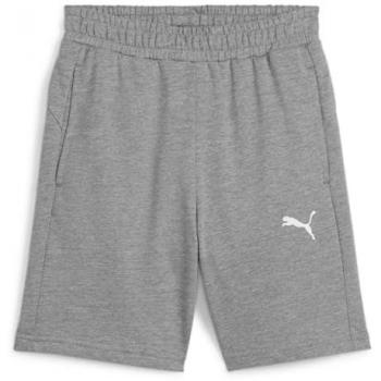 Puma Short Junior TeamGoal
