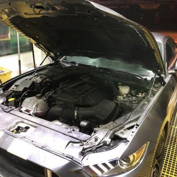 Accessoires de capot hydraulique FORD MUSTANG