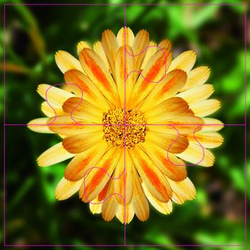 Das Gelingt-immer -Puzzle Wiesenblumen