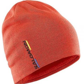 Bonnet Graphique Unisexe Salomon